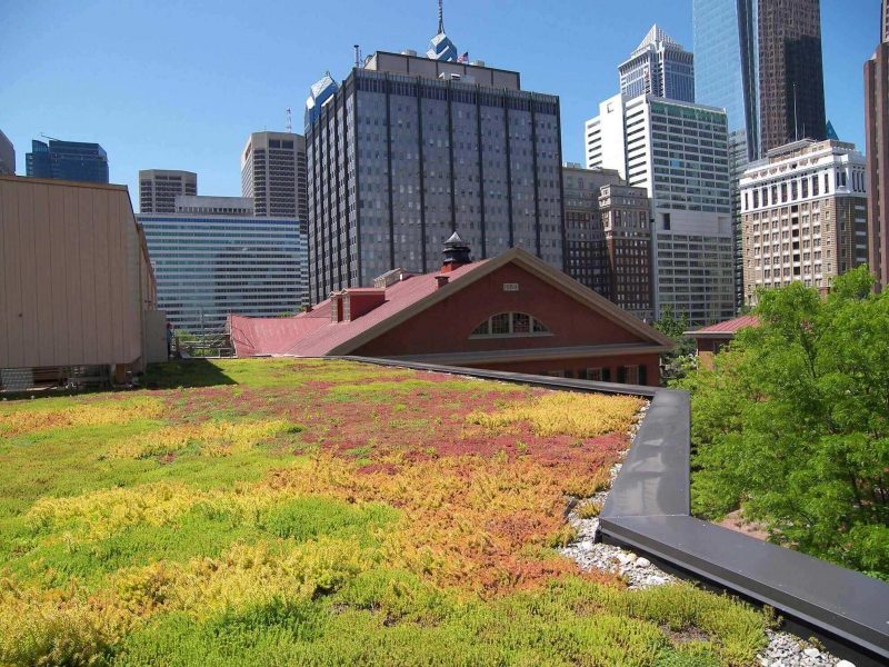 paysagiste-SIX FOURS LES PLAGES-min_green-roof-portfolio-4